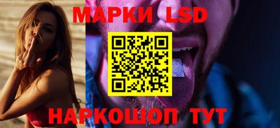 гидра Будённовск