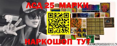 гидра Будённовск