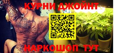 гидра Будённовск
