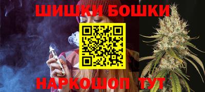 гидра Будённовск